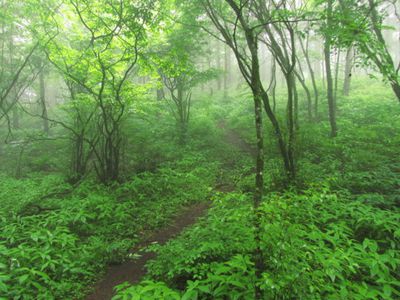 今倉山の外観