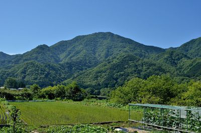 倉岳山の外観