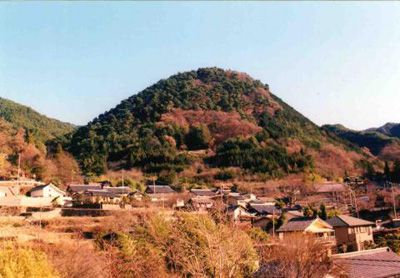 要害山の外観