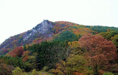 太刀岡山の外観