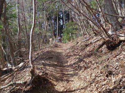 タンボ山の外観