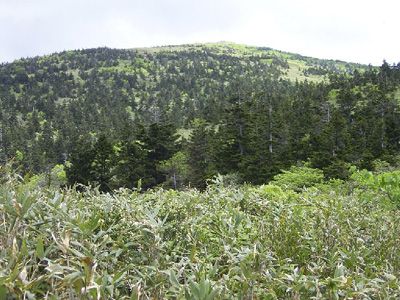 森吉山の外観