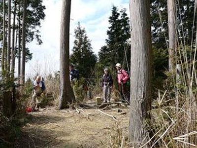 旗尾岳の外観