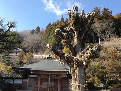 燈明岳の外観