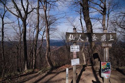 仙人ヶ岳の外観