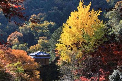 行道山の外観