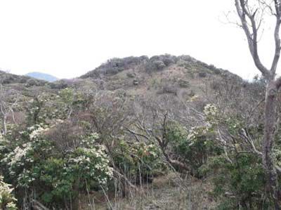 猫越岳の外観