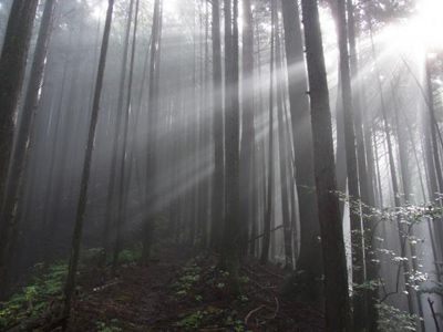 天狗石山の外観