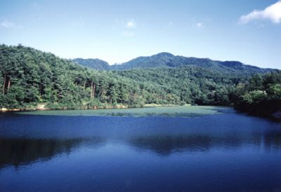 高坪山の外観