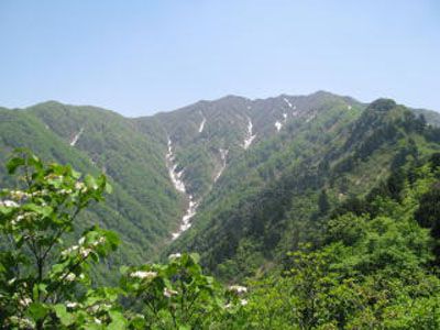 蒜場山の外観