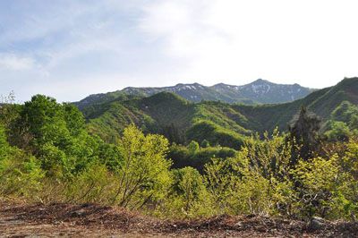 唐松山 新潟県 登山徹底ガイド 難易度レベル39 中級