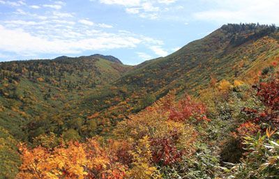 日蔭山の外観