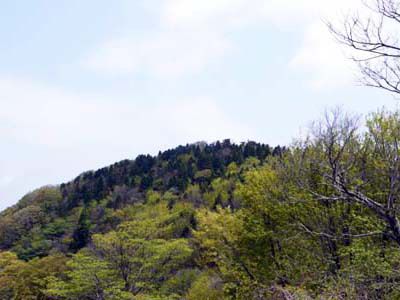 金剛童子山の外観