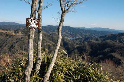 武生山