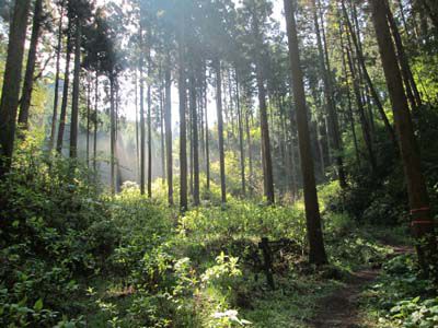 御岩山の外観