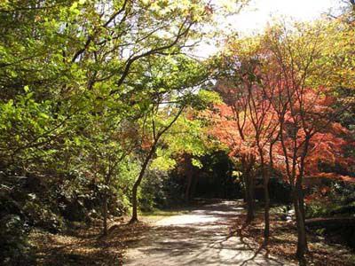 小木津山の外観