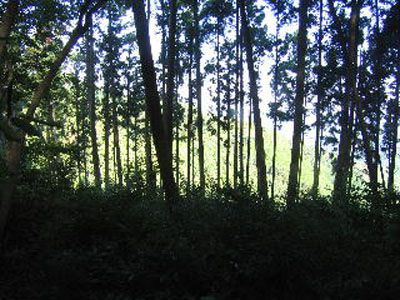 三峠山の外観