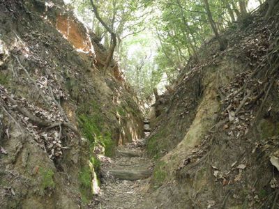 水井山の外観