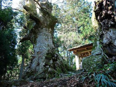 呉枯ノ峰の外観