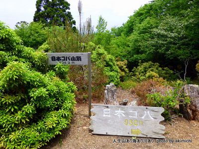 日本コバの外観