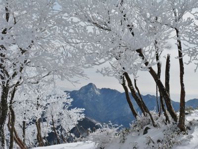 綿向山の外観