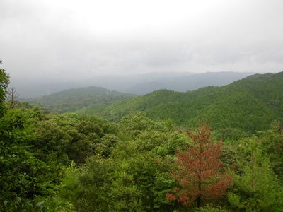 金敷城山の外観