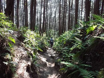 竜王山の外観