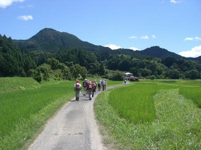 伊那佐山の外観