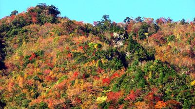 又剱山の外観