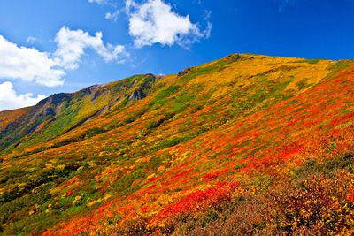 栗駒山の外観