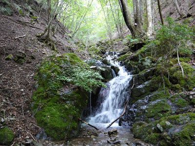 清水ヶ峰の外観