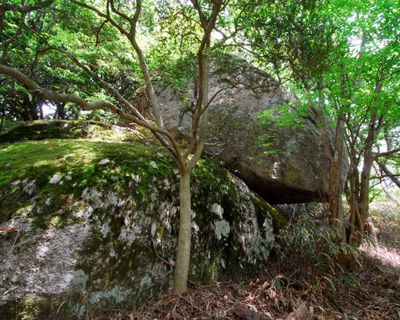 笹ヶ岳の外観