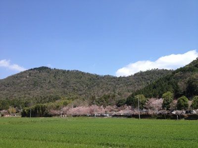 雪野山の外観