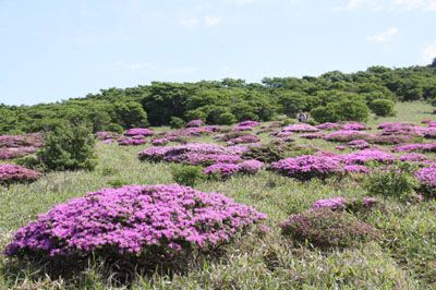 肥前ヶ城の外観