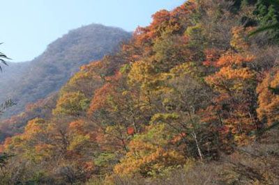 大平山の外観