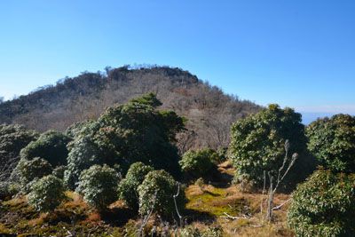 夏木山の外観