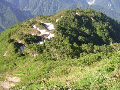 大猫山の外観