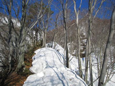 大地山の外観