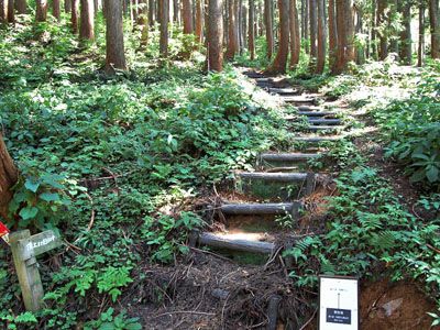 鋲ヶ岳の外観