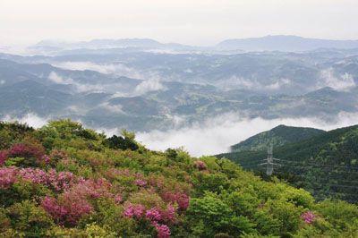 井原山の外観