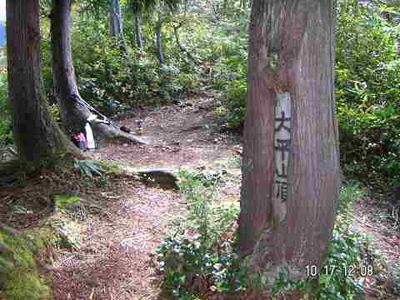 大平山の外観