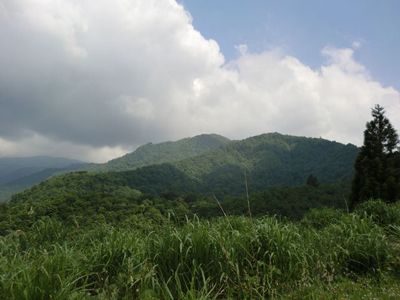 高頭山の外観