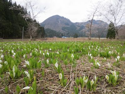 夫婦山の外観