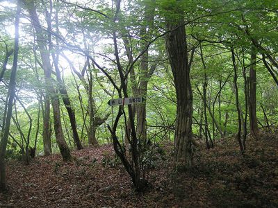 烏帽子岳の外観