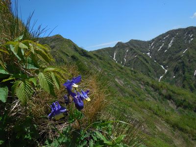 神居尻山の外観