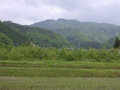 雨呼山の外観