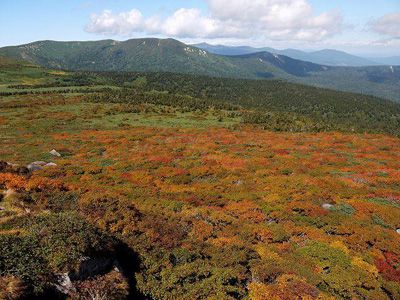 源太ヶ岳の外観