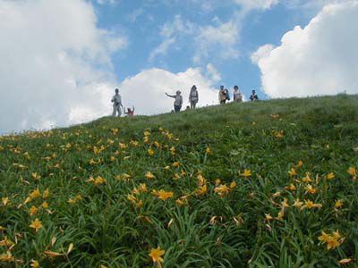 高下岳の外観