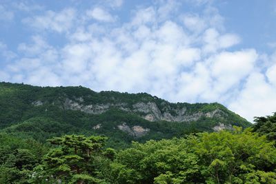 宇霊羅山の外観