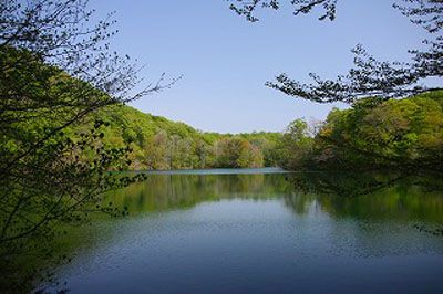 北泉ヶ岳の外観